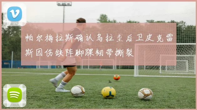 帕尔梅拉斯确认乌拉圭后卫皮克雷斯因伤缺阵脚踝韧带撕裂